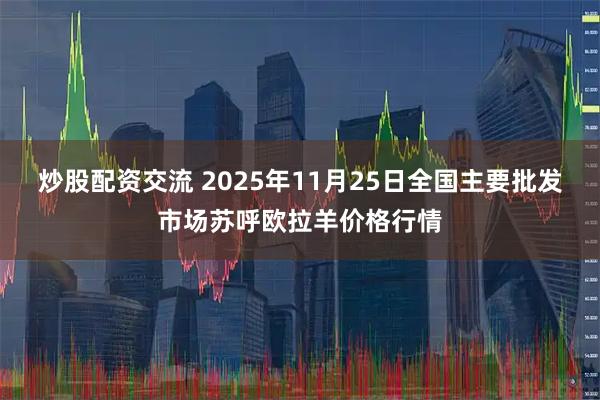 炒股配资交流 2025年11月25日全国主要批发市场苏呼欧拉羊价格行情
